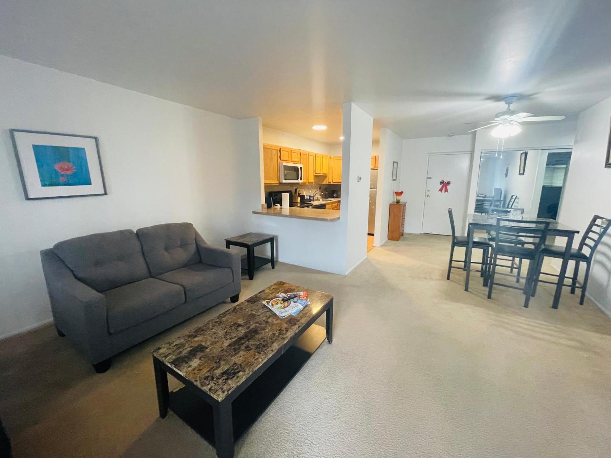 Large, Clean, Comfortable, 1br Near Einstein Hos Apartment Elkins Park